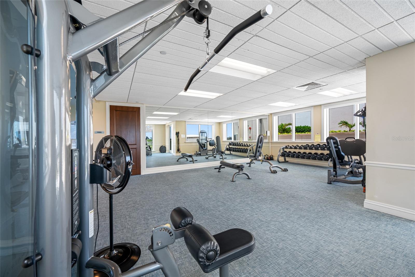 Image 54 of 78 For 331 Cleveland Street 1204