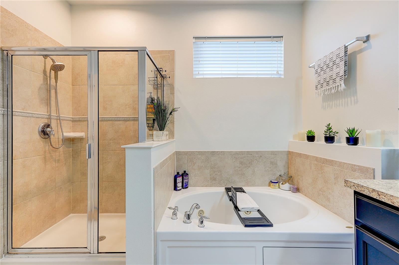 Image 37 of 82 For 2410 Hawks Point Court