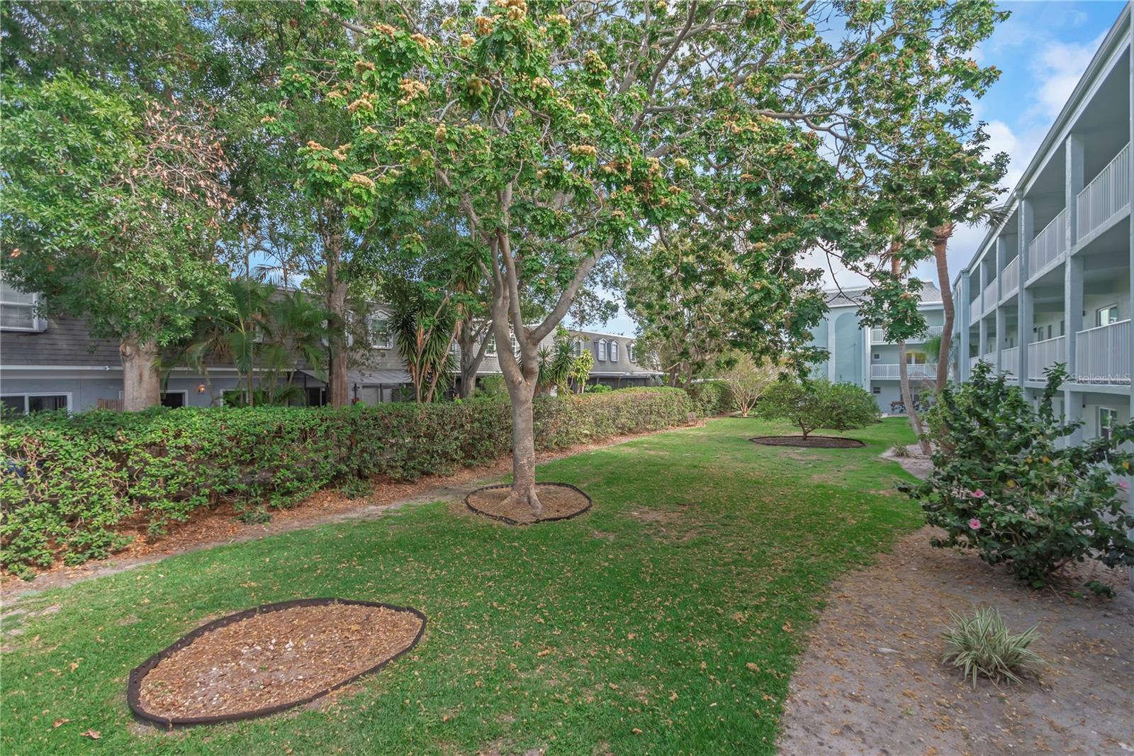 Image 21 of 30 For 1706 Belleair Forest Drive 222