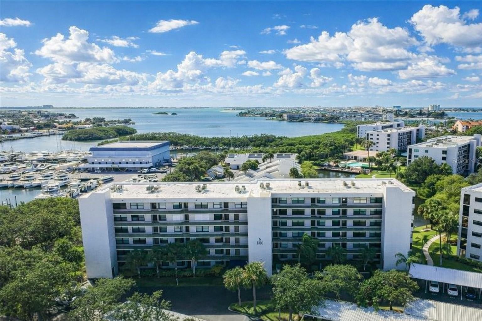 Image 2 of 100 For 1316 Pasadena Avenue S 407