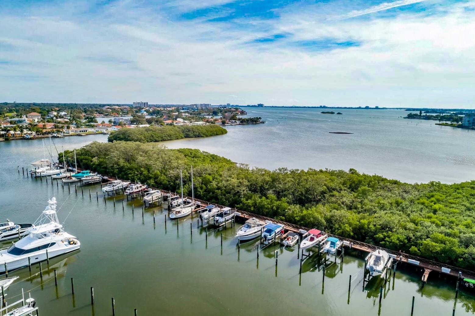 Image 92 of 100 For 1316 Pasadena Avenue S 407