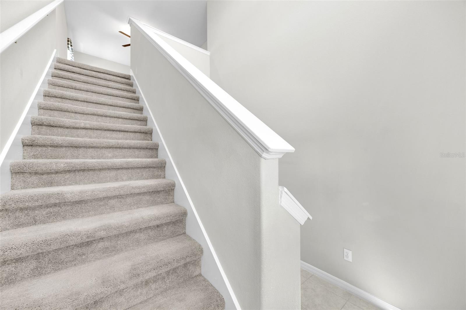 Image 25 of 46 For 9434 Lemon Drop Loop