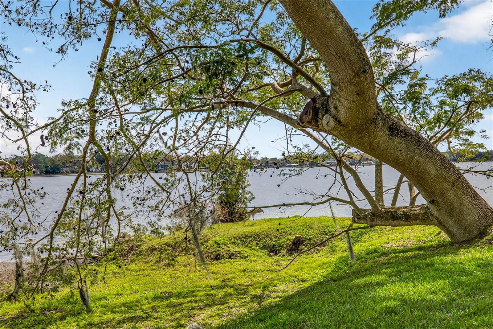 Image 11 of 76 For 12010 Hardaman Place