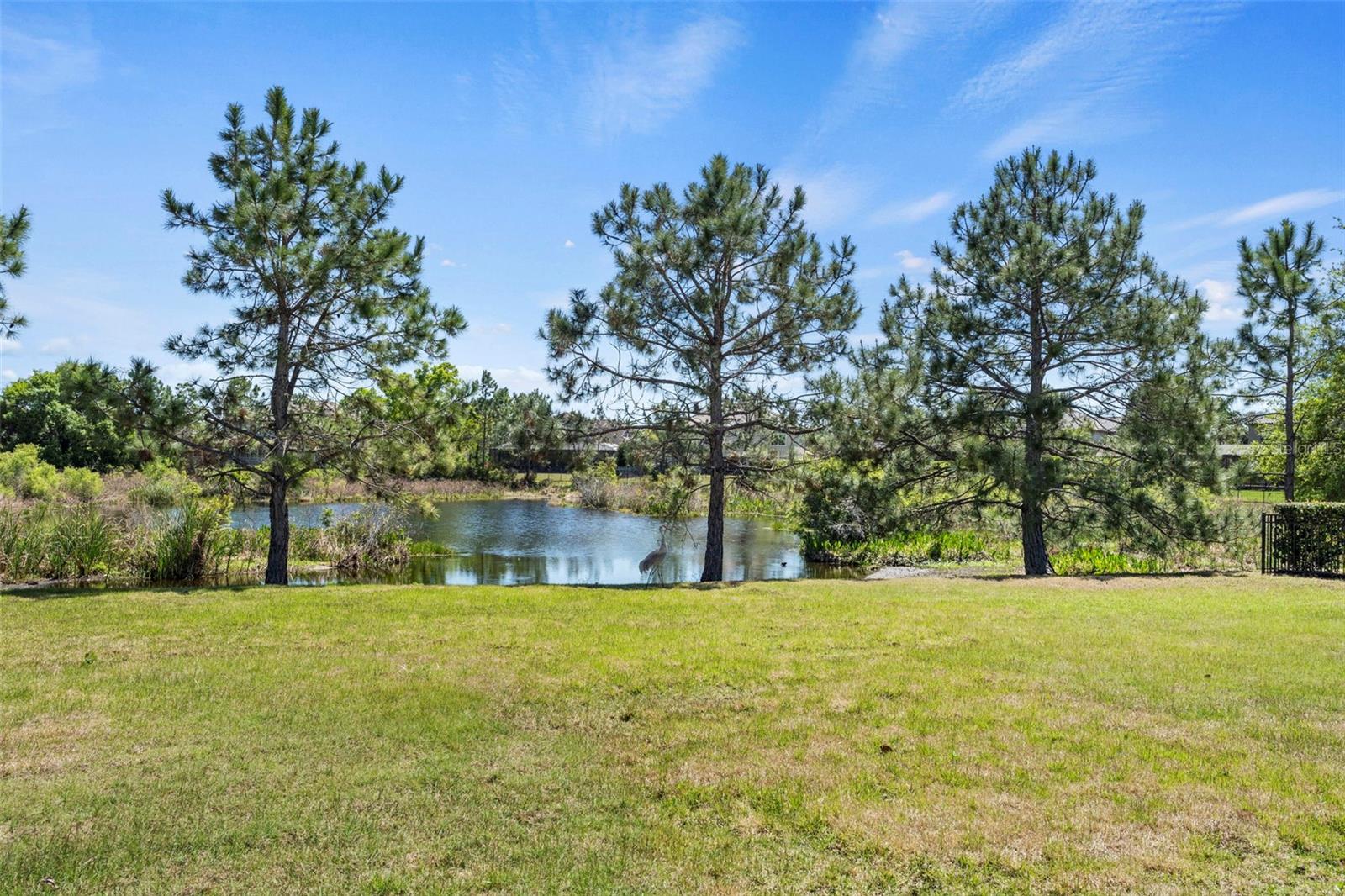 Listing photo id 47 for 9235 Tillinghast Drive