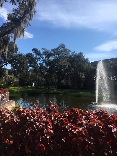 Image 17 of 18 For 10102 Courtney Oaks Circle 202