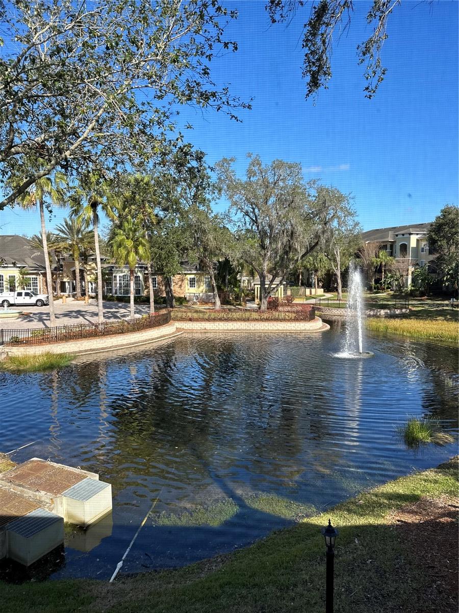 Image 18 of 18 For 10102 Courtney Oaks Circle 202