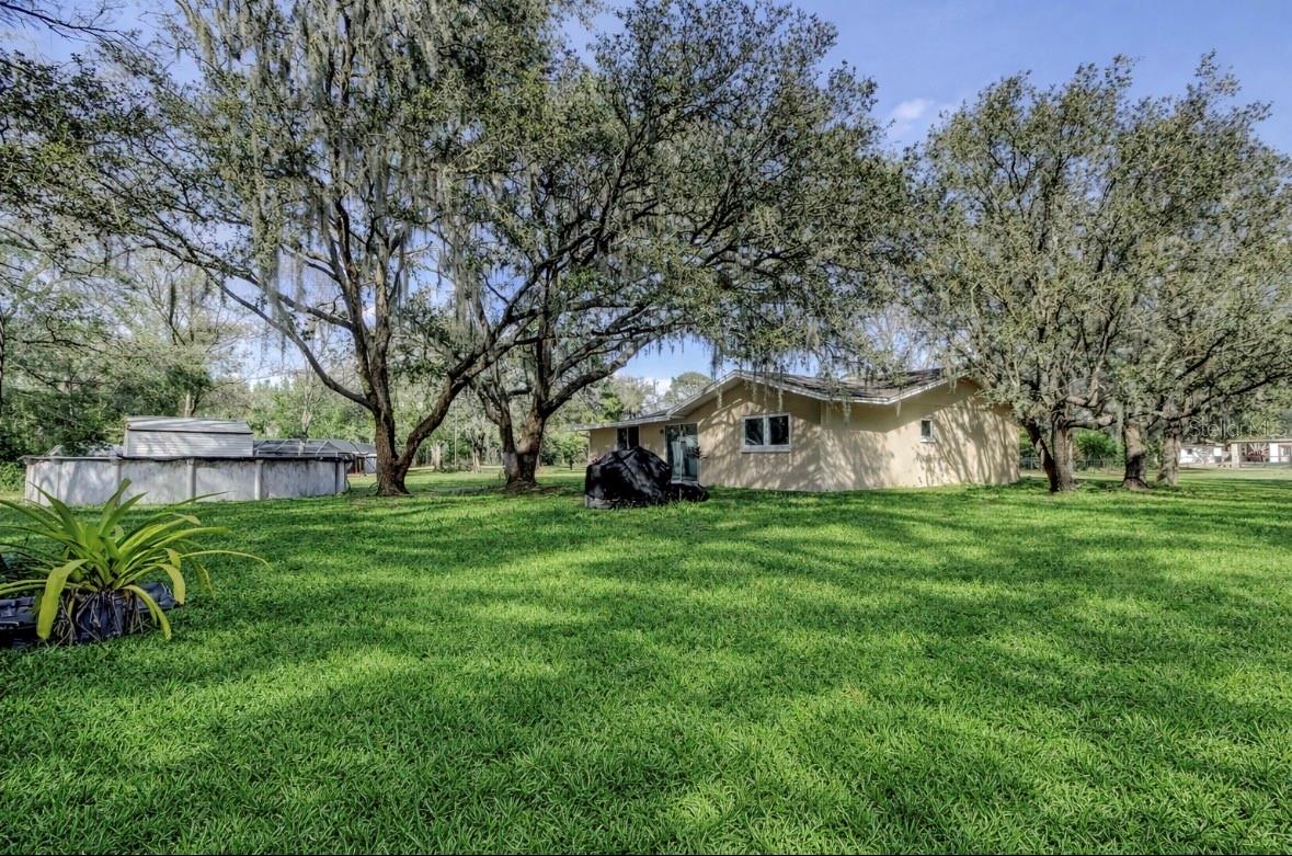 Image 23 of 25 For 10821 Candy Lane