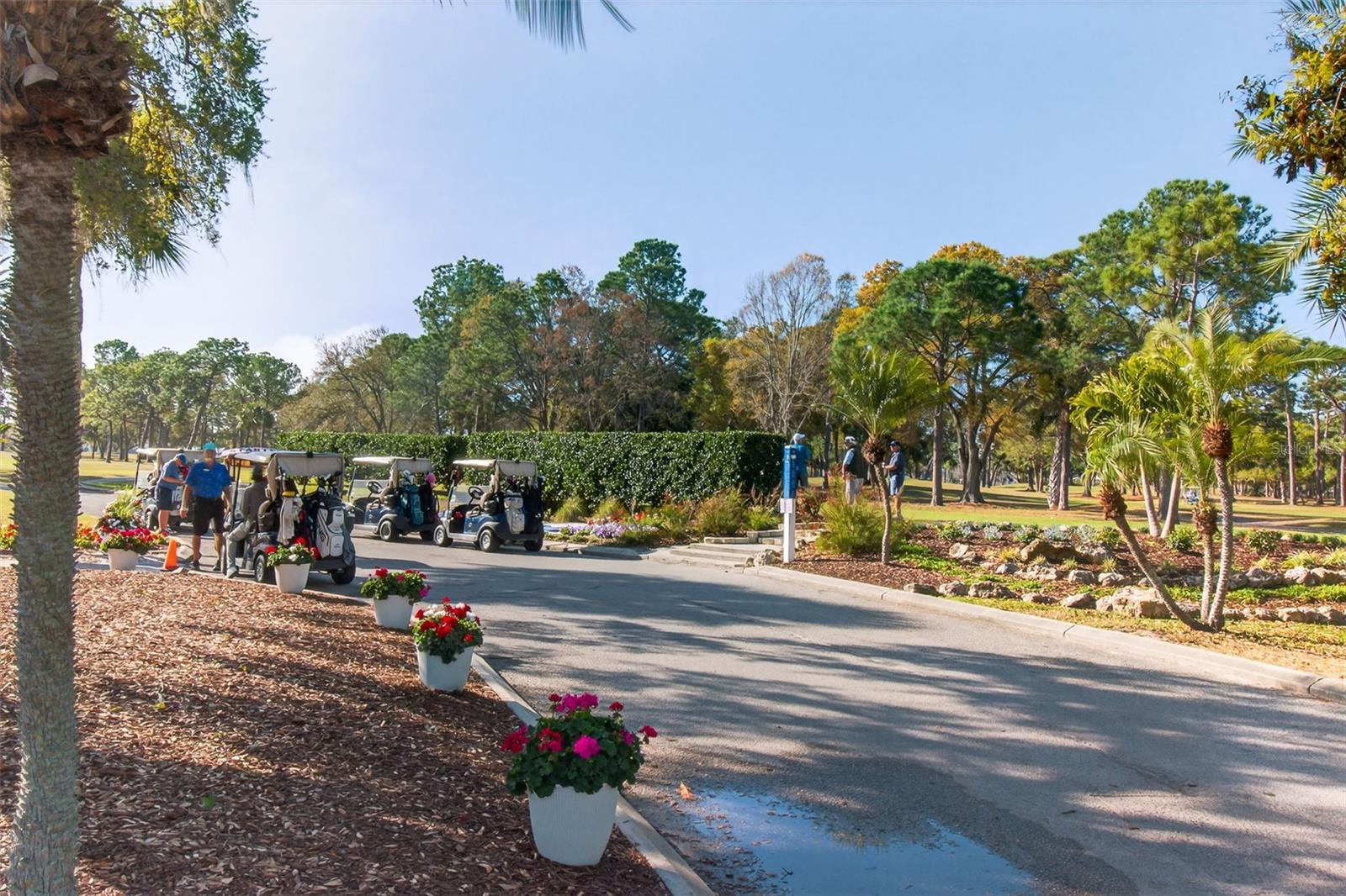 Image 18 of 48 For 2621 Cove Cay Drive 902