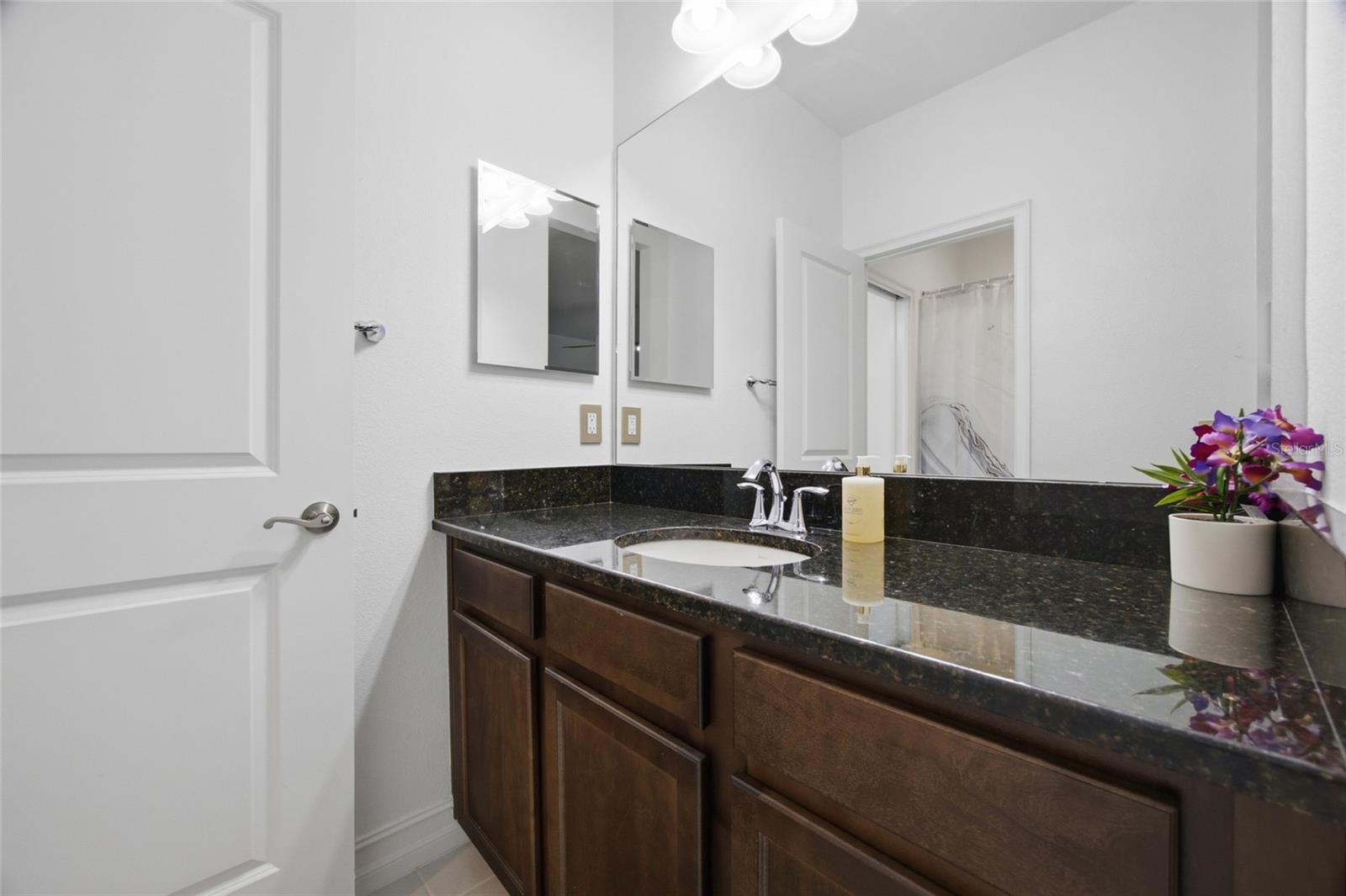 Listing photo id 28 for 29003 Trevi Place