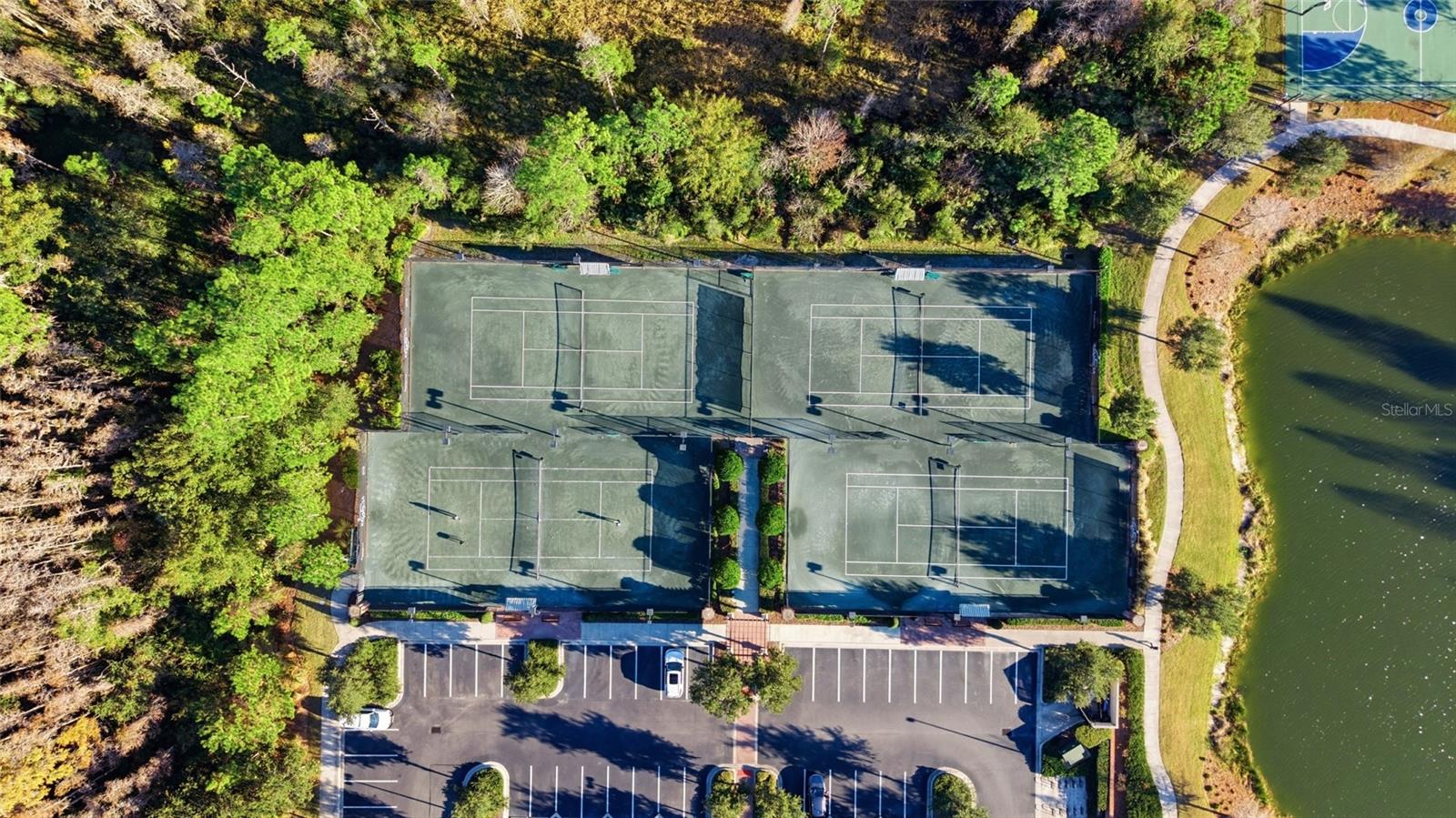 Listing photo id 44 for 29003 Trevi Place