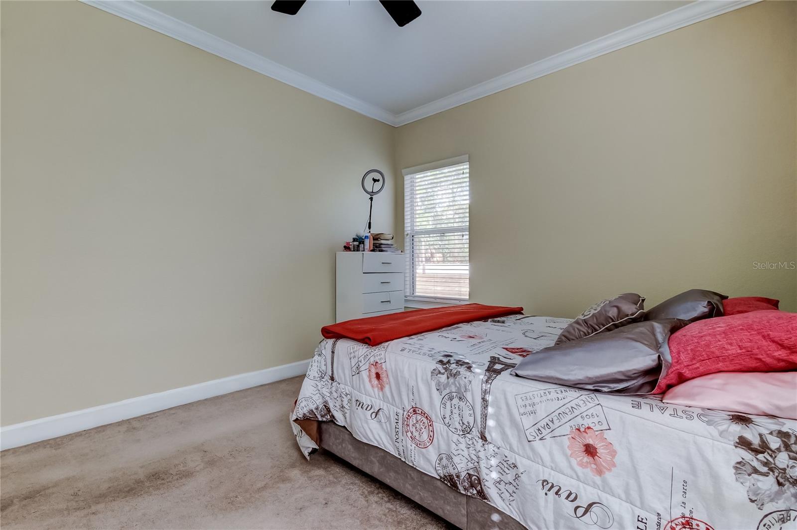 Image 28 of 42 For 258 Alexander Woods Drive