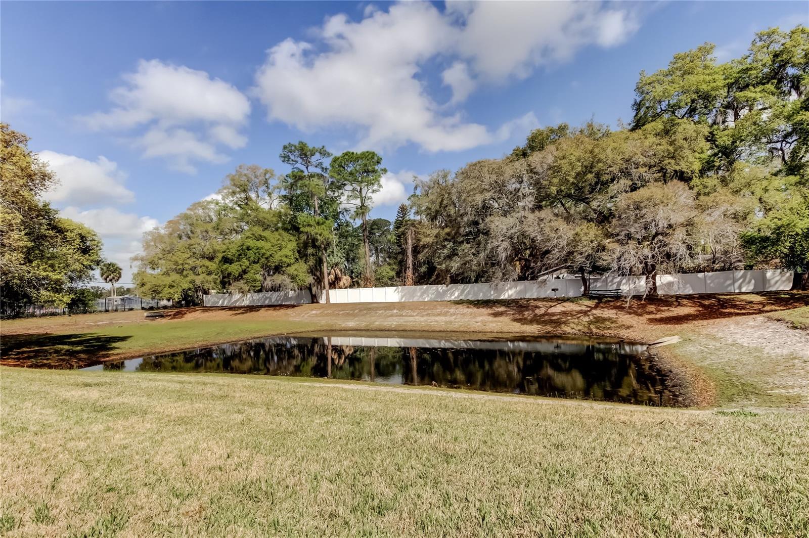 Image 40 of 42 For 258 Alexander Woods Drive