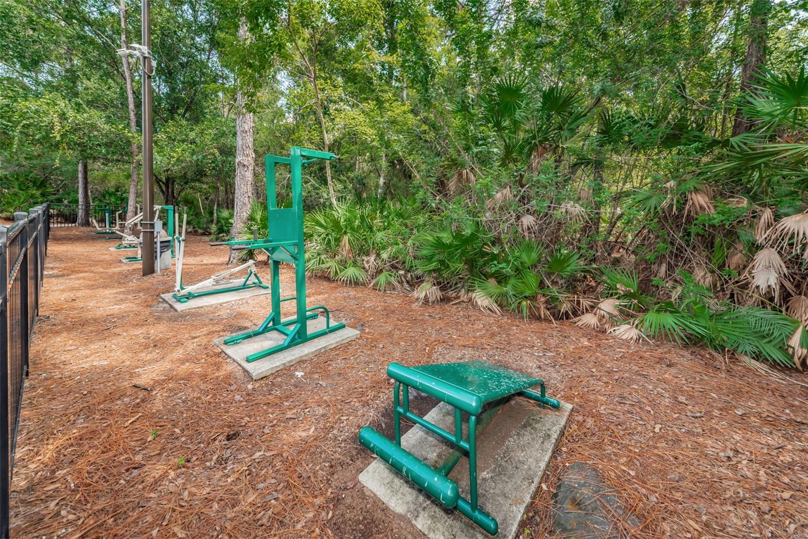 Image 78 of 79 For 9589 Cavendish Drive