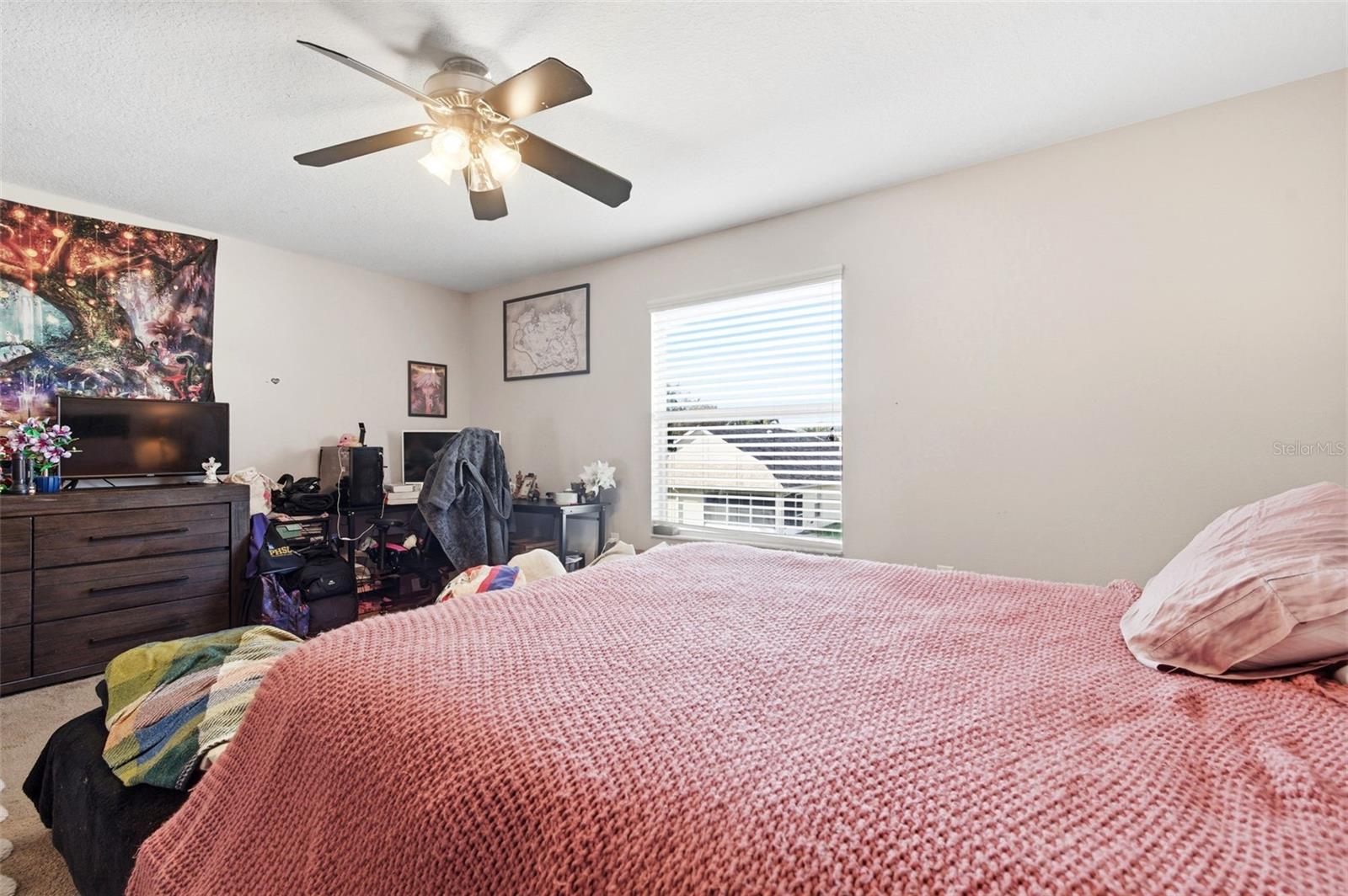 Listing photo id 47 for 8131 Lucidul Court