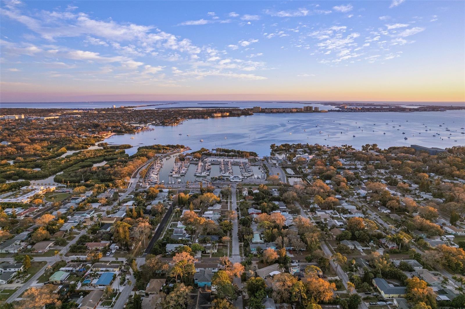 Image 44 of 49 For 4631 Queensboro Avenue S