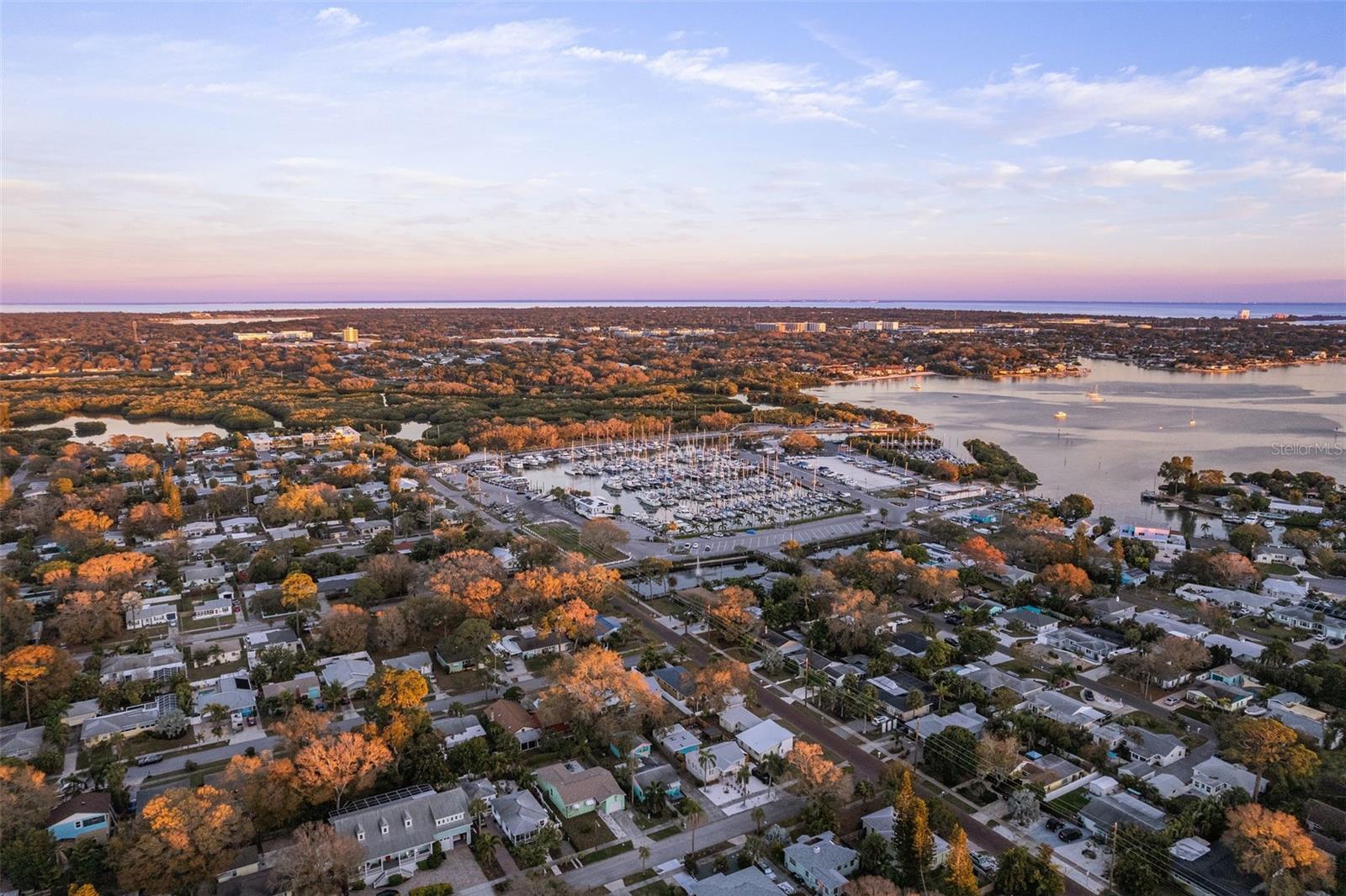 Image 48 of 49 For 4631 Queensboro Avenue S