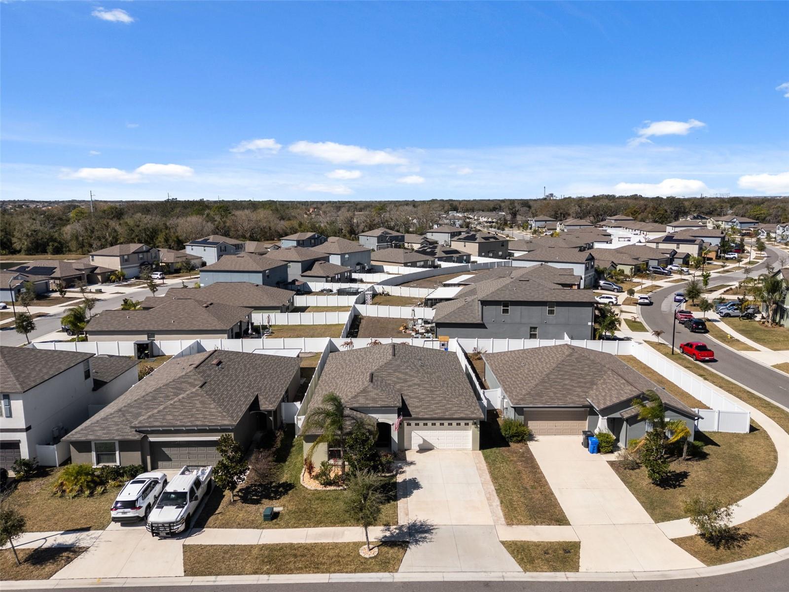 Image 58 of 76 For 10387 Scarlett Skimmer Drive