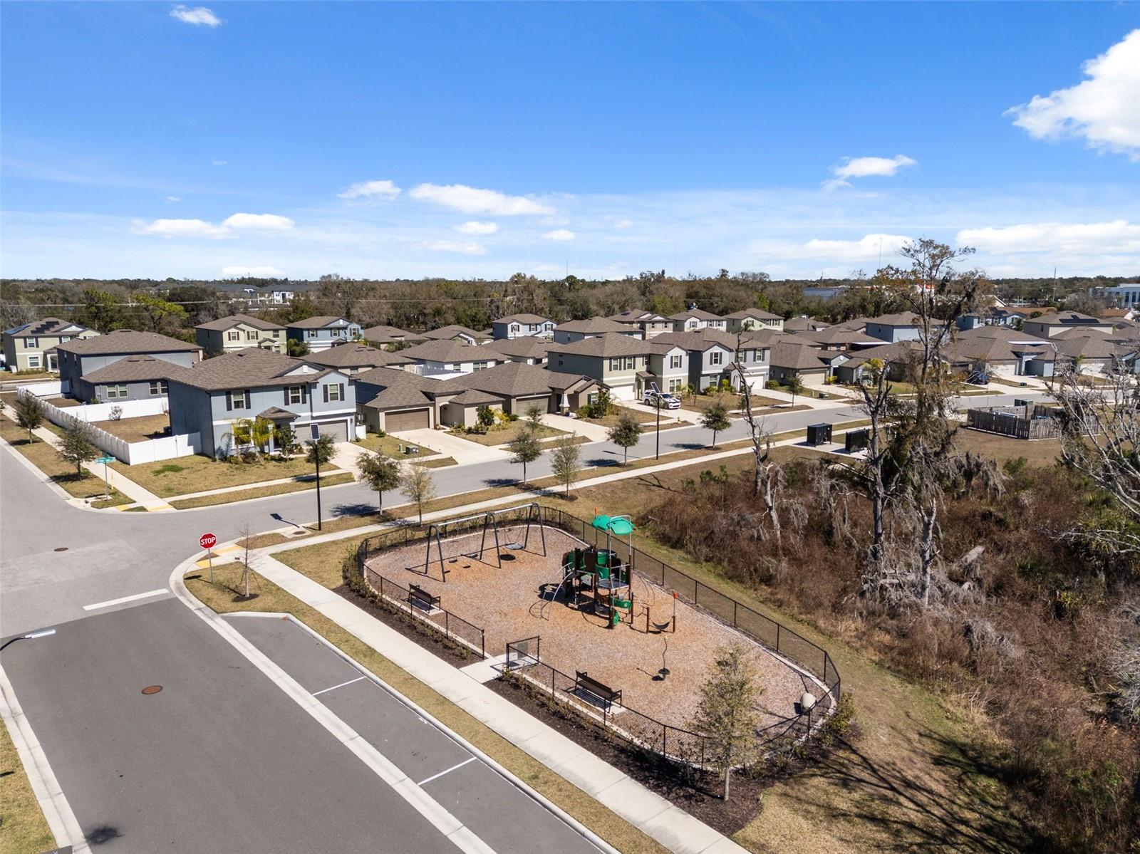 Image 75 of 76 For 10387 Scarlett Skimmer Drive