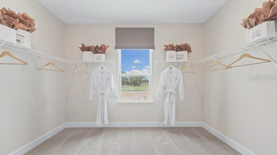 Image 11 of 20 For 3116 Lumber Falls Drive