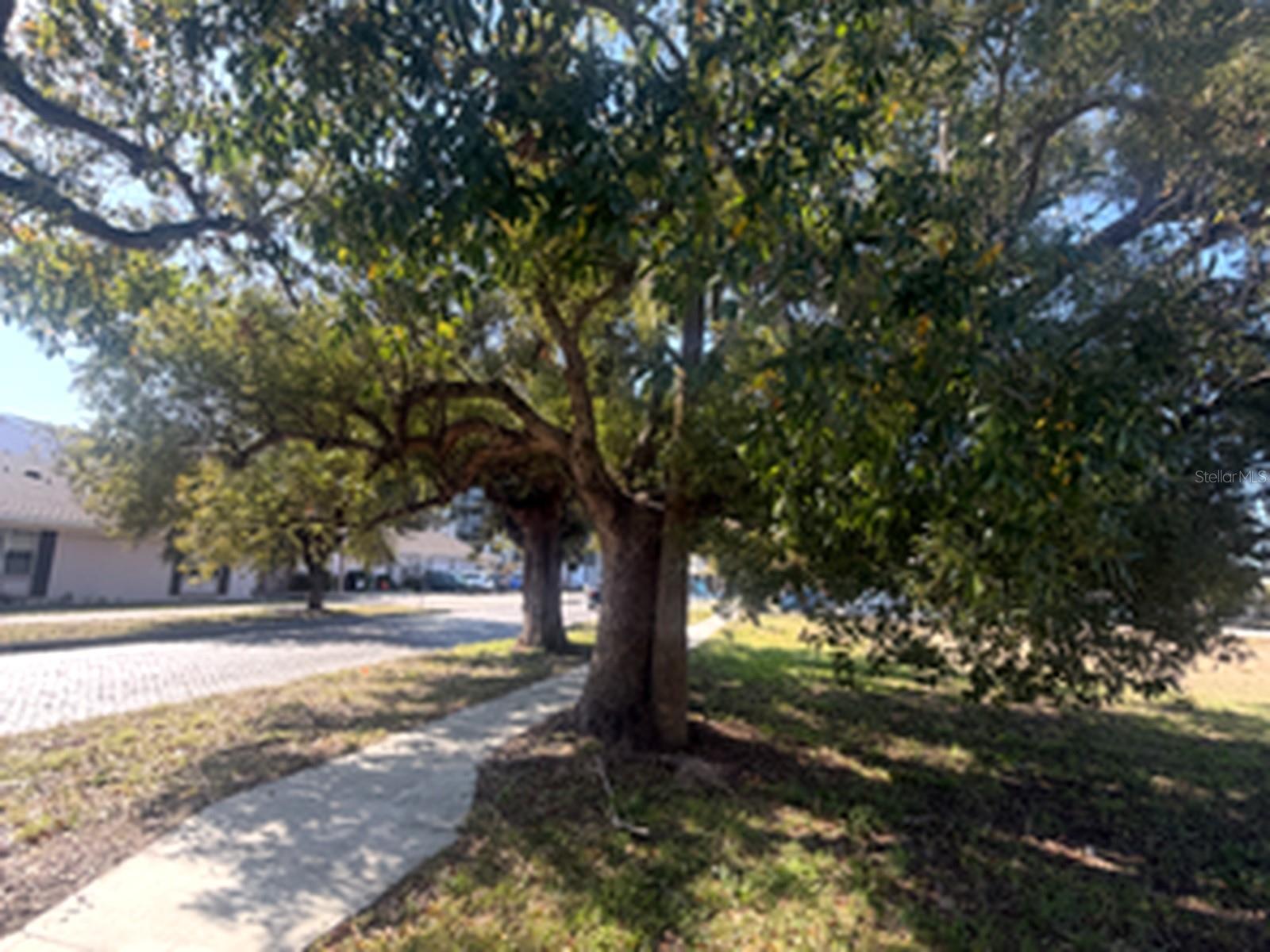 Listing photo id 2 for 1802 Mitchell Avenue