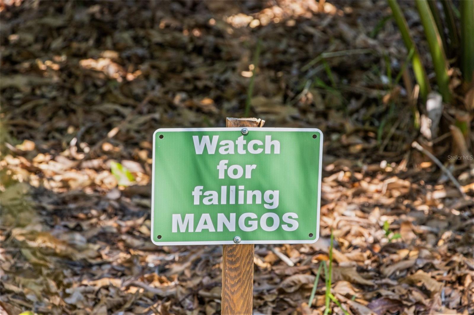 Image 54 of 61 For 4665 Woodland Drive