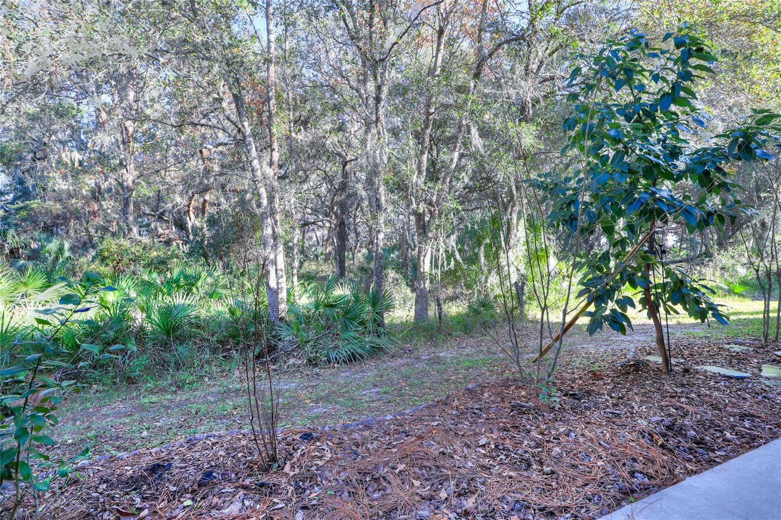 Image 48 of 50 For 20119 Weeping Laurel Place