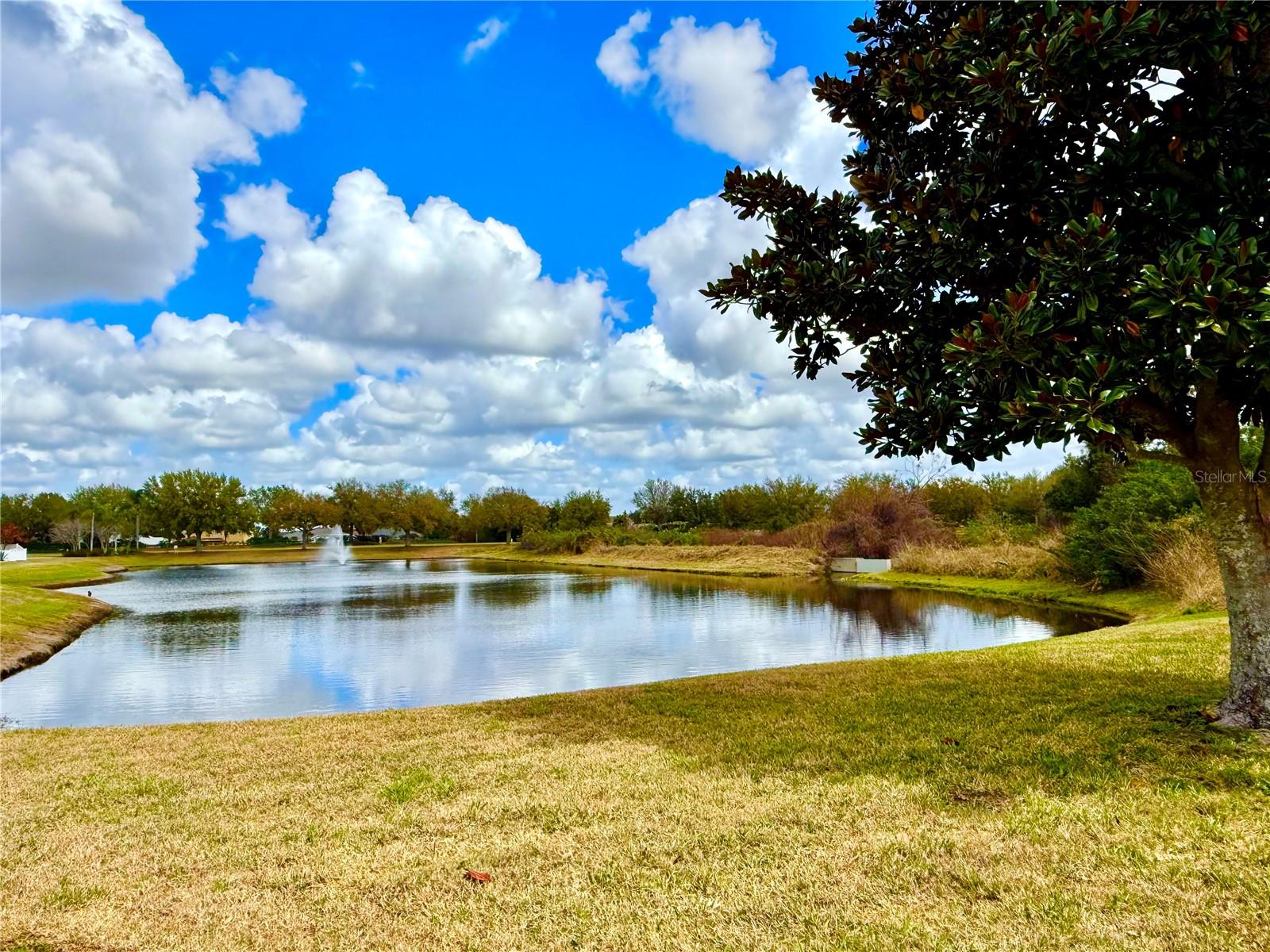 Image 42 of 59 For 11338 Laurel Brook Court