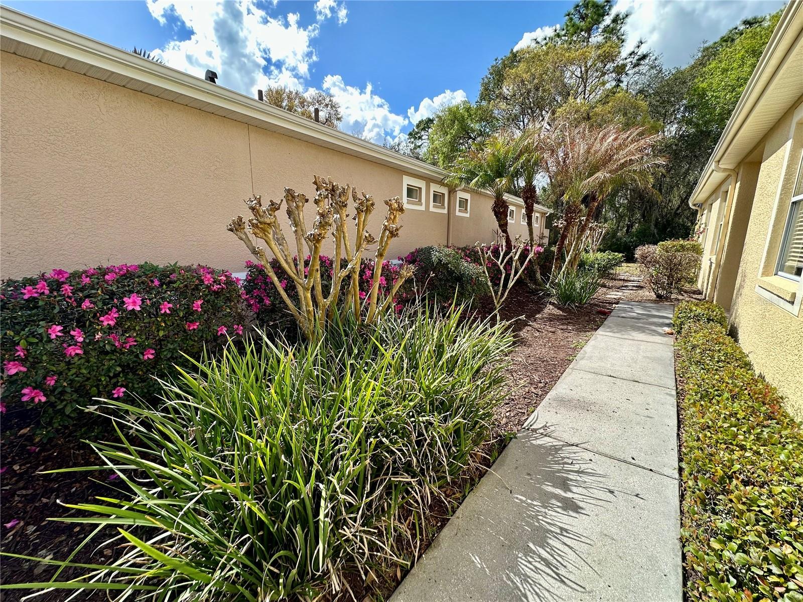 Image 3 of 43 For 8137 Ponkan Road