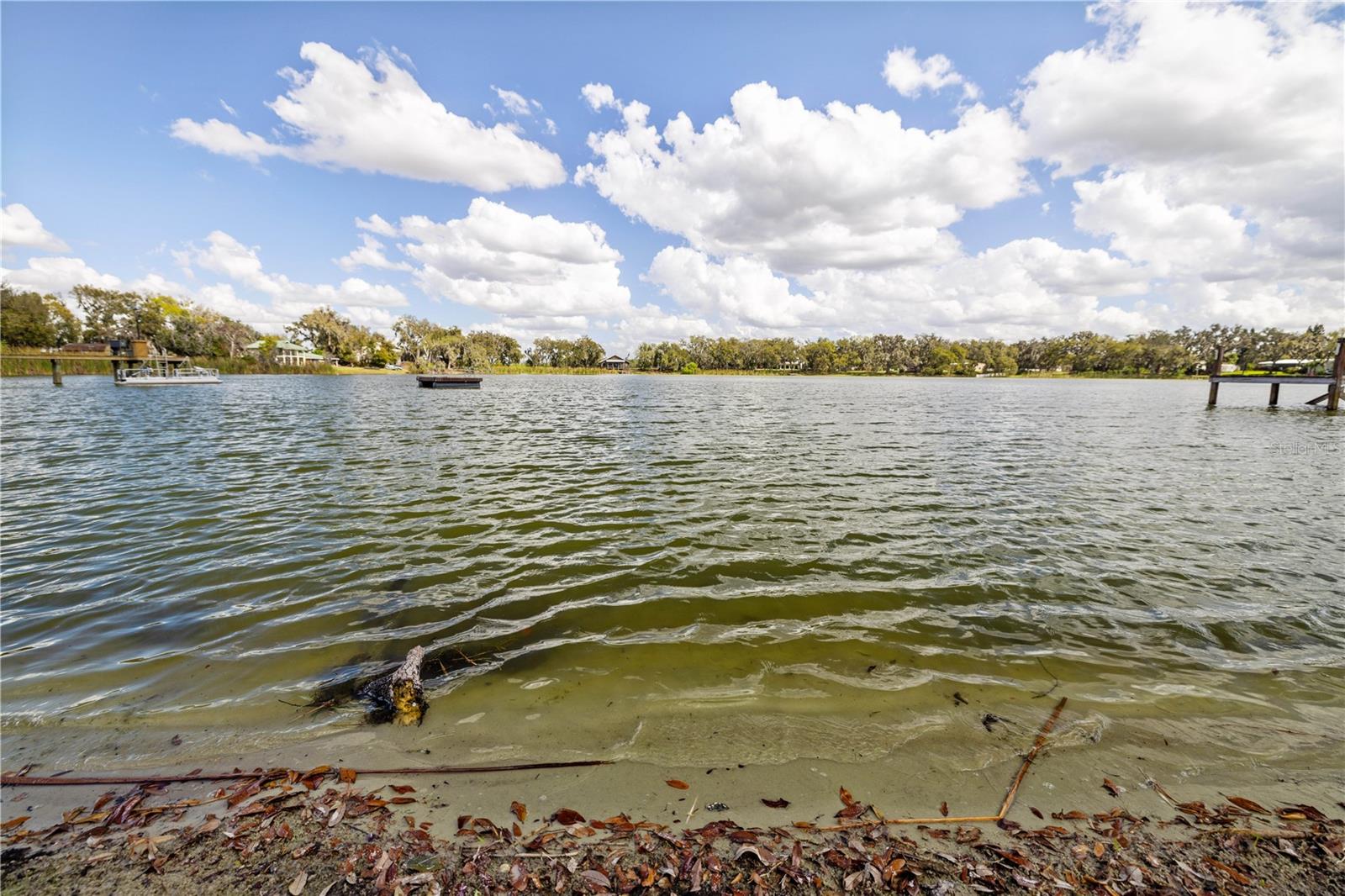Image 63 of 67 For 4019 Moores Lake Road