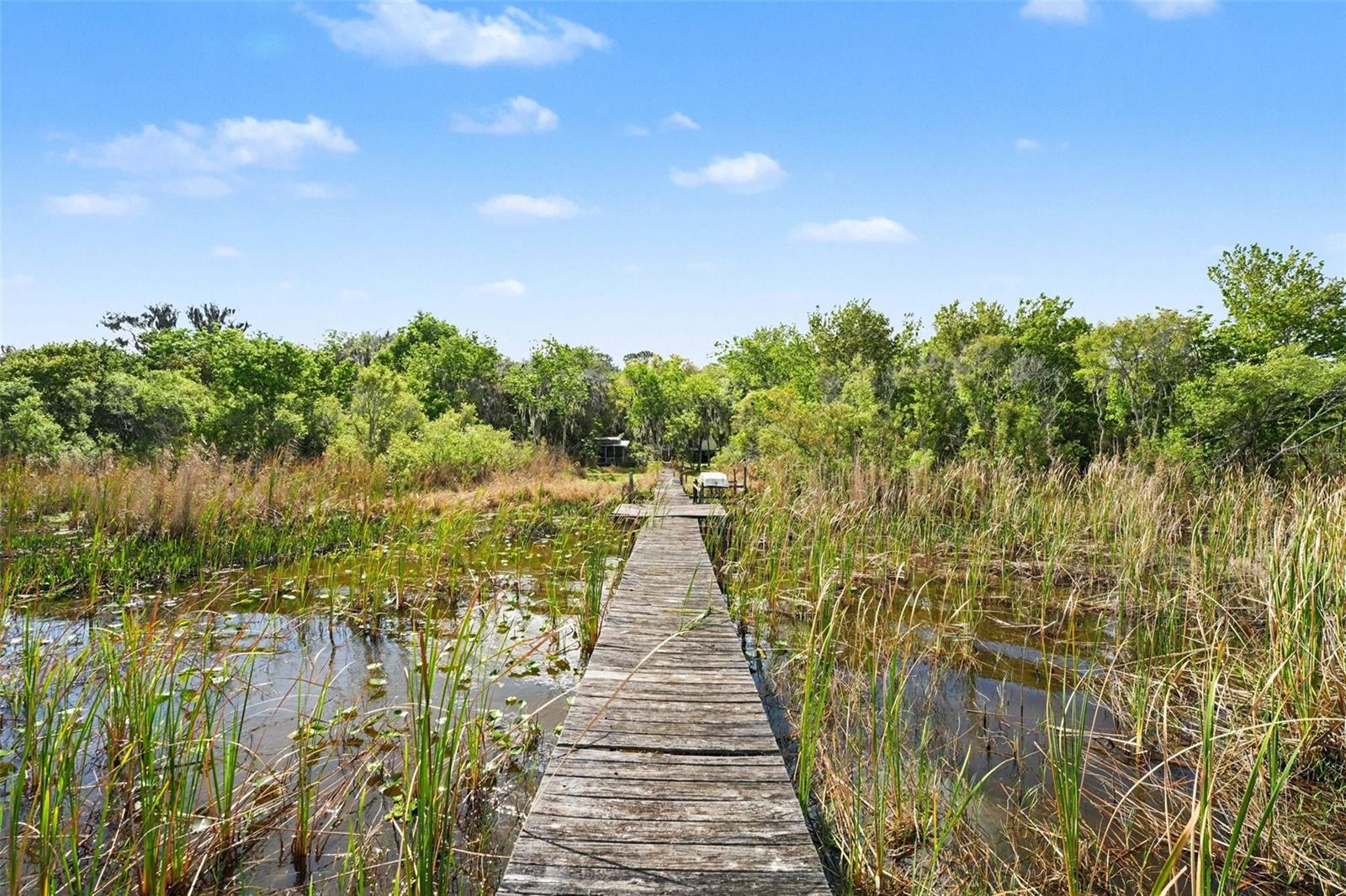 Image 12 of 28 For 11130 Shore Drive