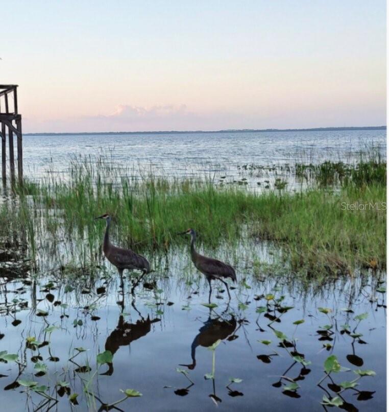 Image 26 of 28 For 11130 Shore Drive