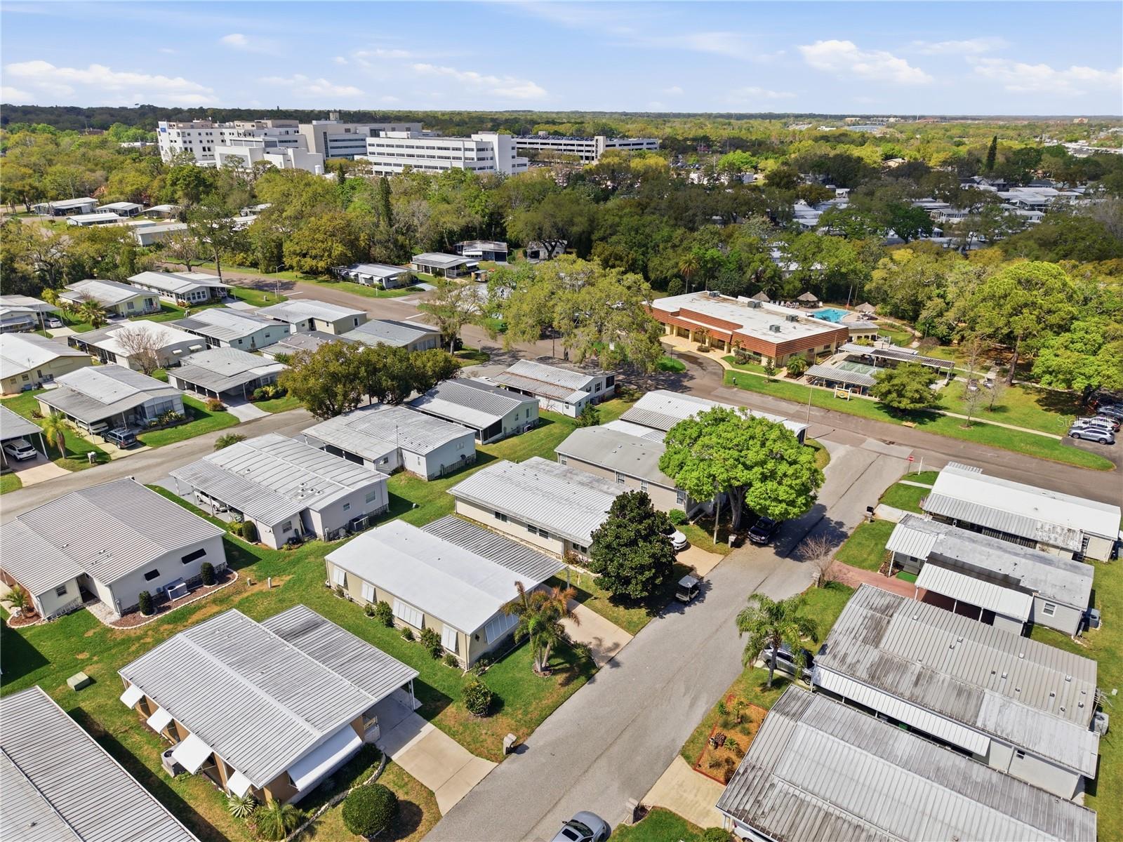 Image 51 of 62 For 84 Jacaranda Drive 15