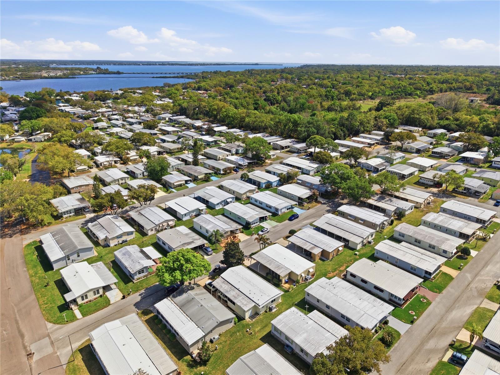 Image 56 of 62 For 84 Jacaranda Drive 15