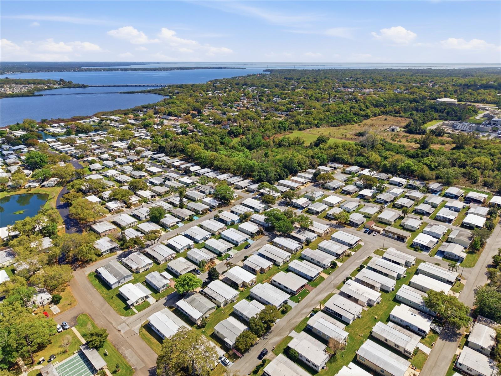 Image 57 of 62 For 84 Jacaranda Drive 15