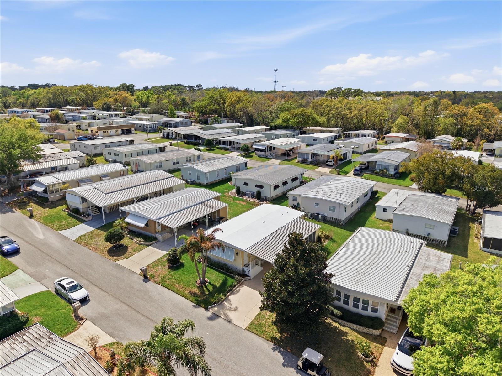 Image 59 of 62 For 84 Jacaranda Drive 15