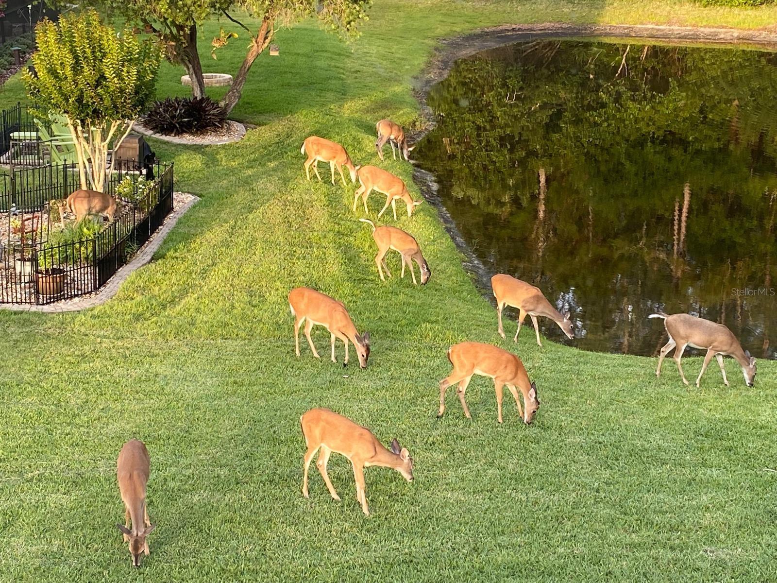 Image 3 of 49 For 13106 Royal George Avenue