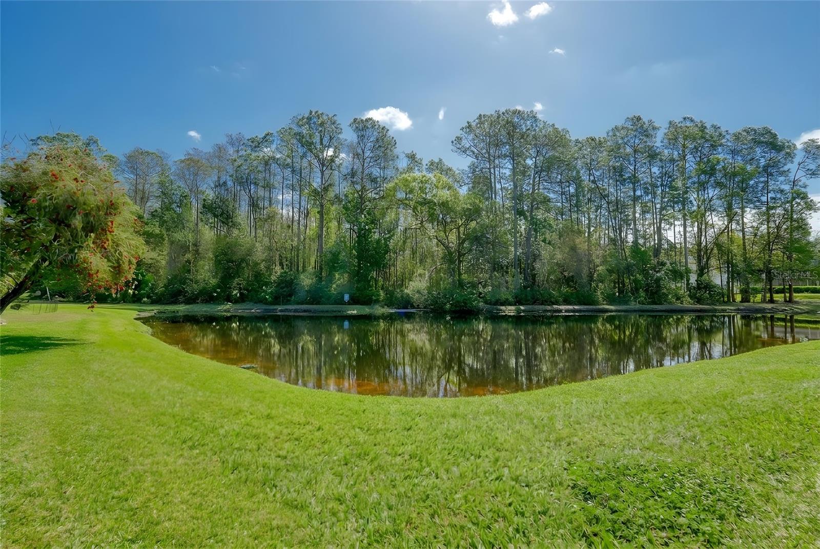 Image 6 of 49 For 13106 Royal George Avenue