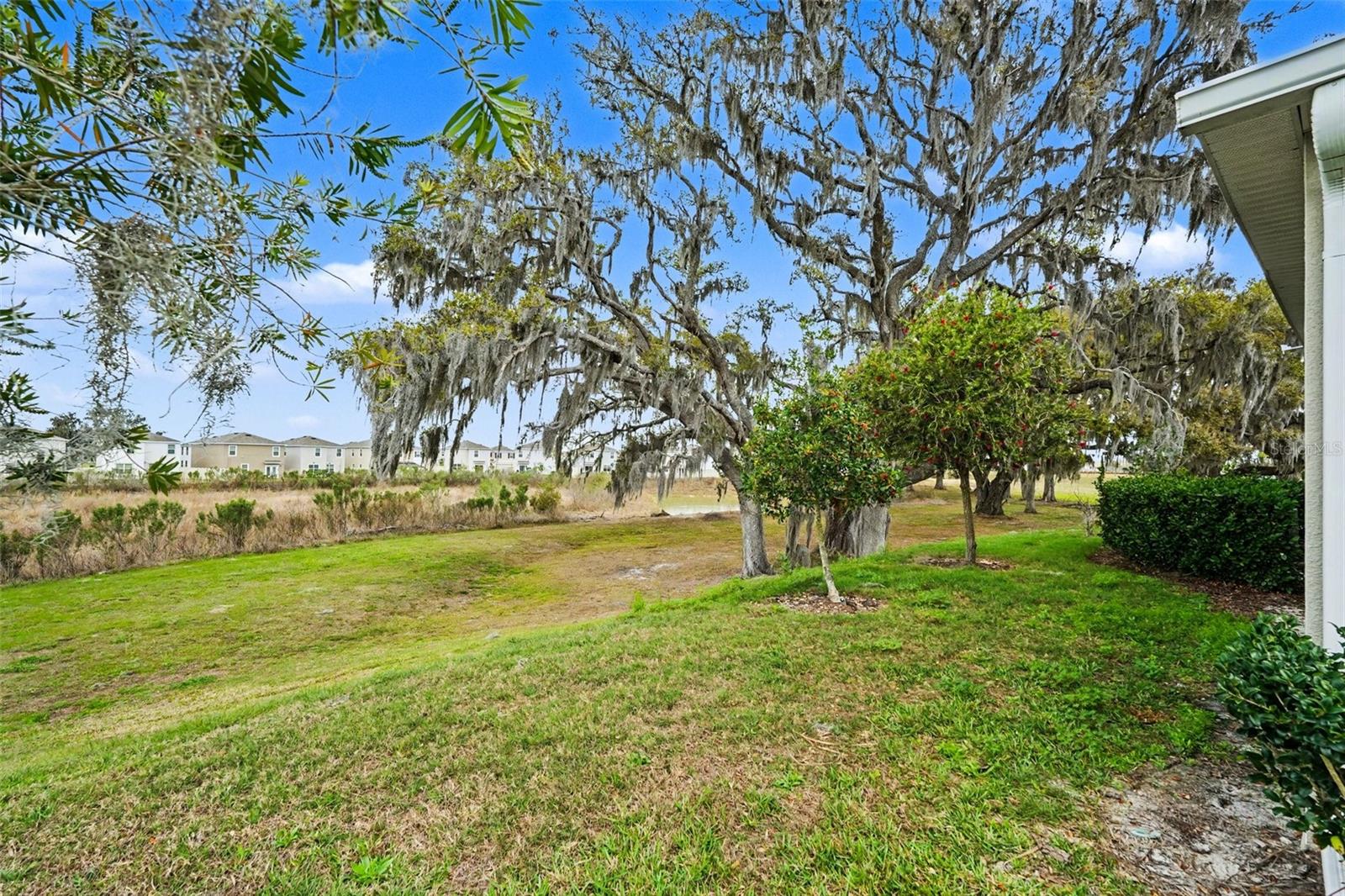 Image 17 of 17 For 31457 Mango Fade Way