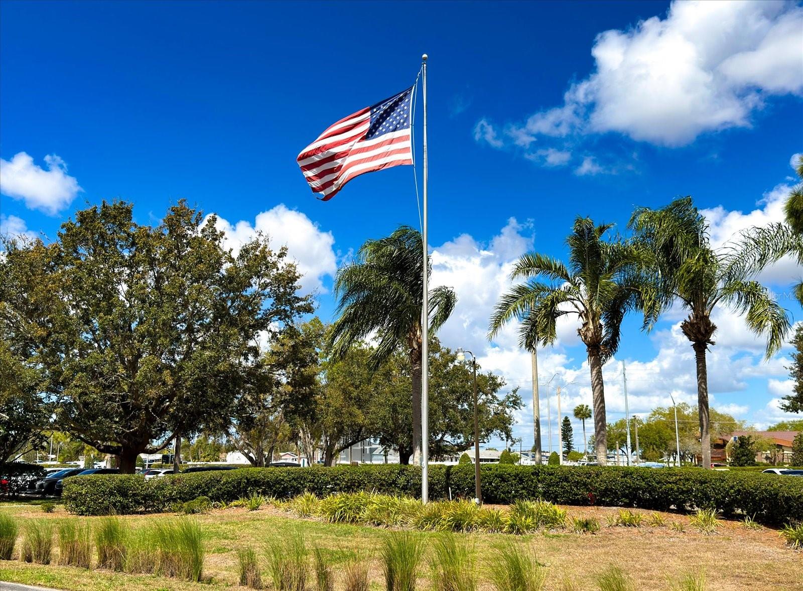 Image 3 of 40 For 205 Kings Boulevard 62