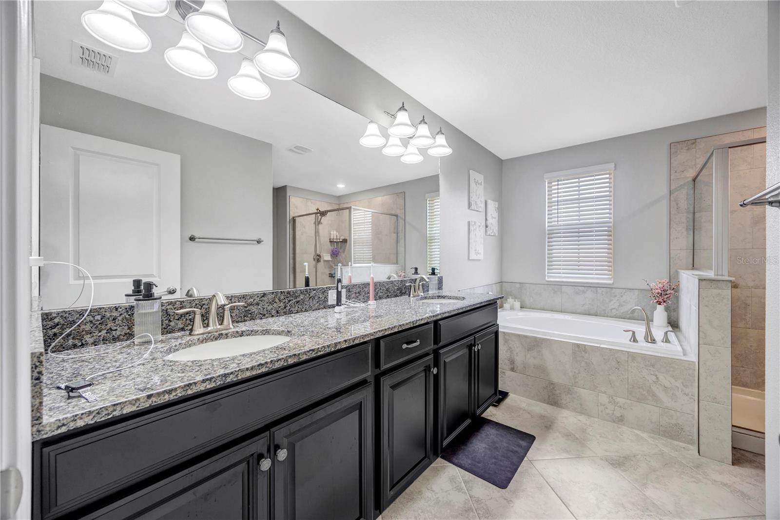 Image 51 of 72 For 13223 Satin Lily Drive