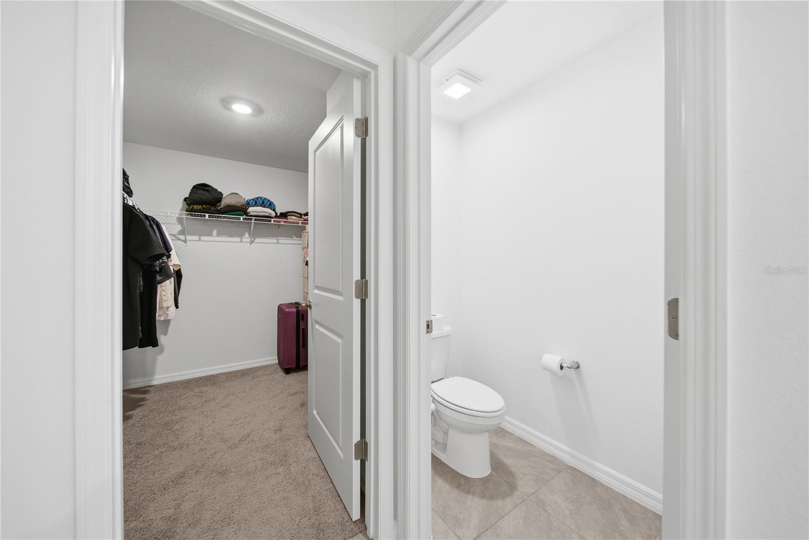 Image 18 of 40 For 3189 Living Coral Street