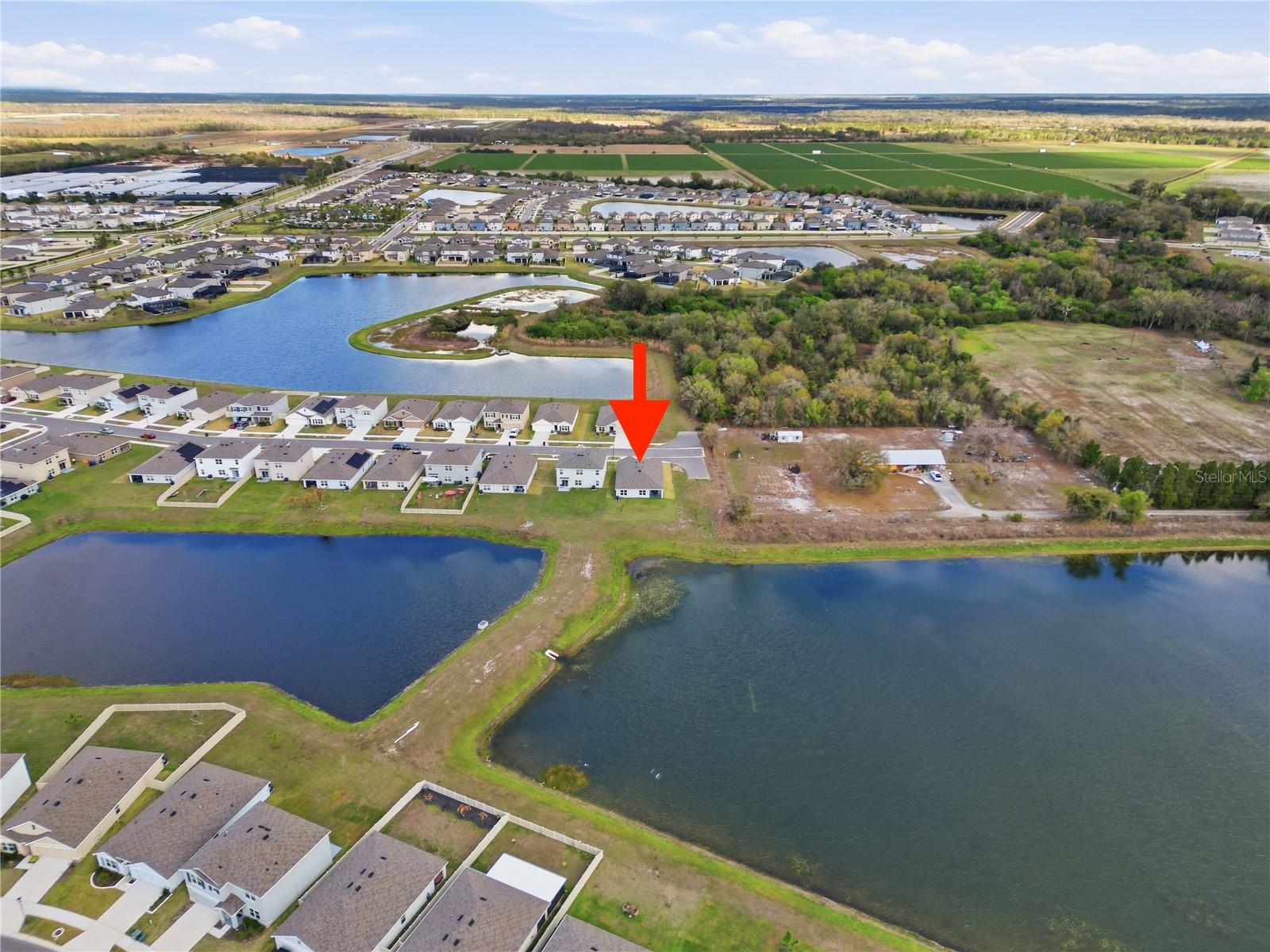 Image 32 of 40 For 3189 Living Coral Street