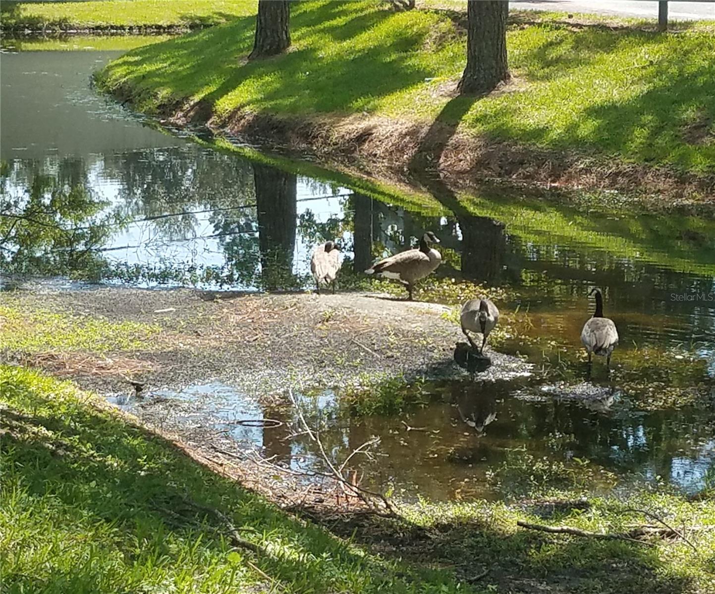 Image 16 of 18 For 3954 La Costa Lane