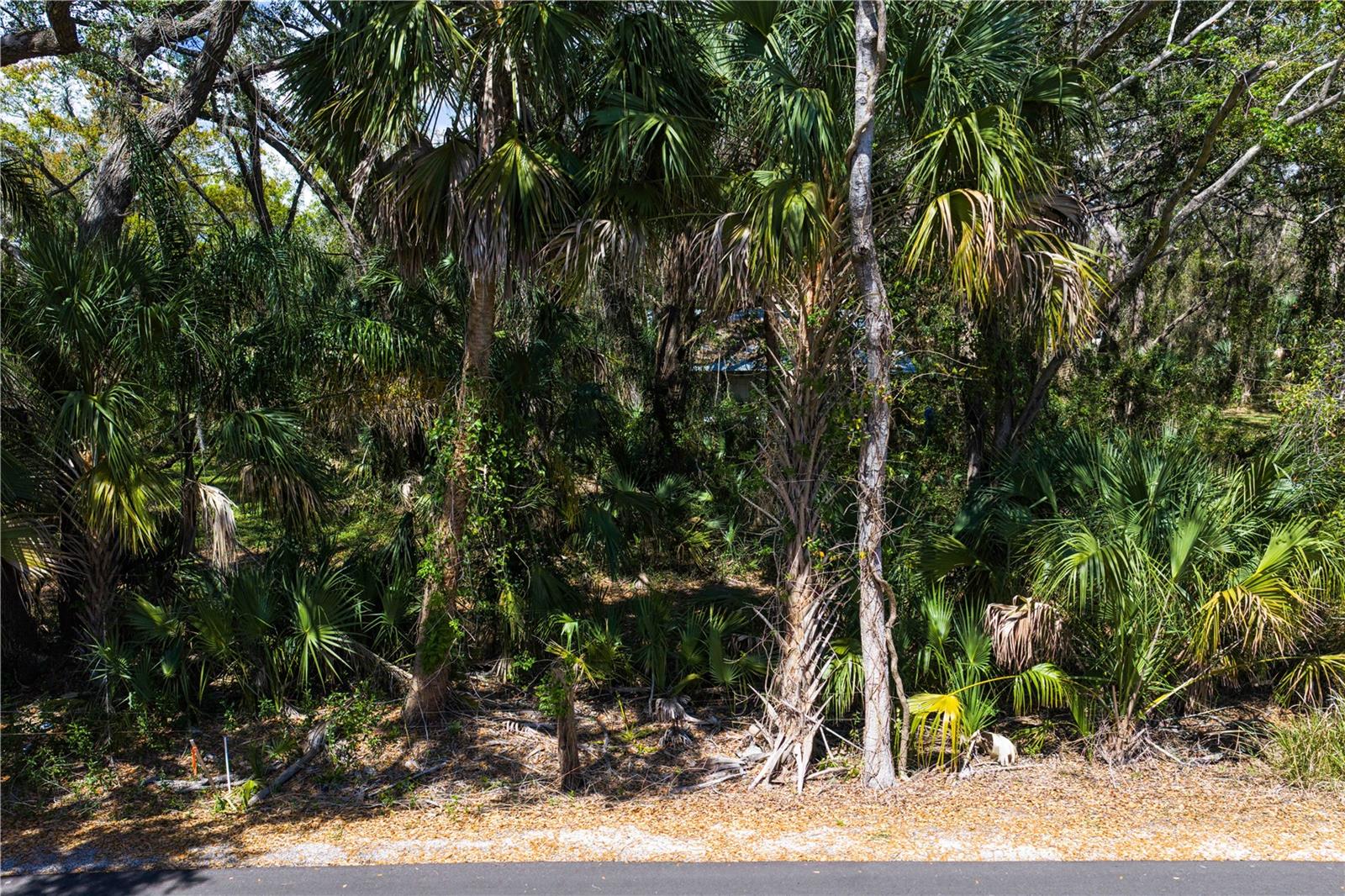 Listing photo id 12 for 8004 Bay Drive