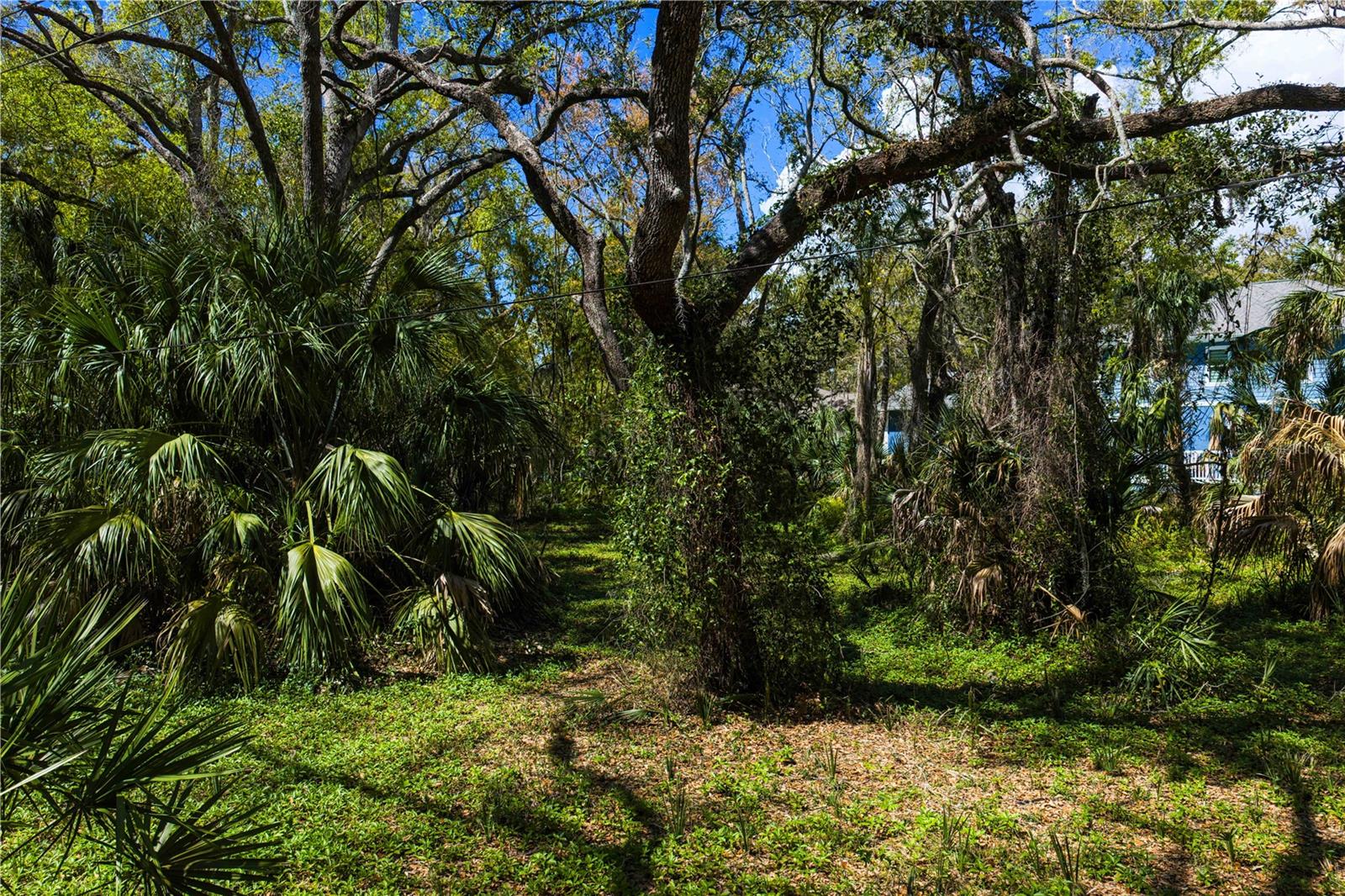 Listing photo id 6 for 8004 Bay Drive