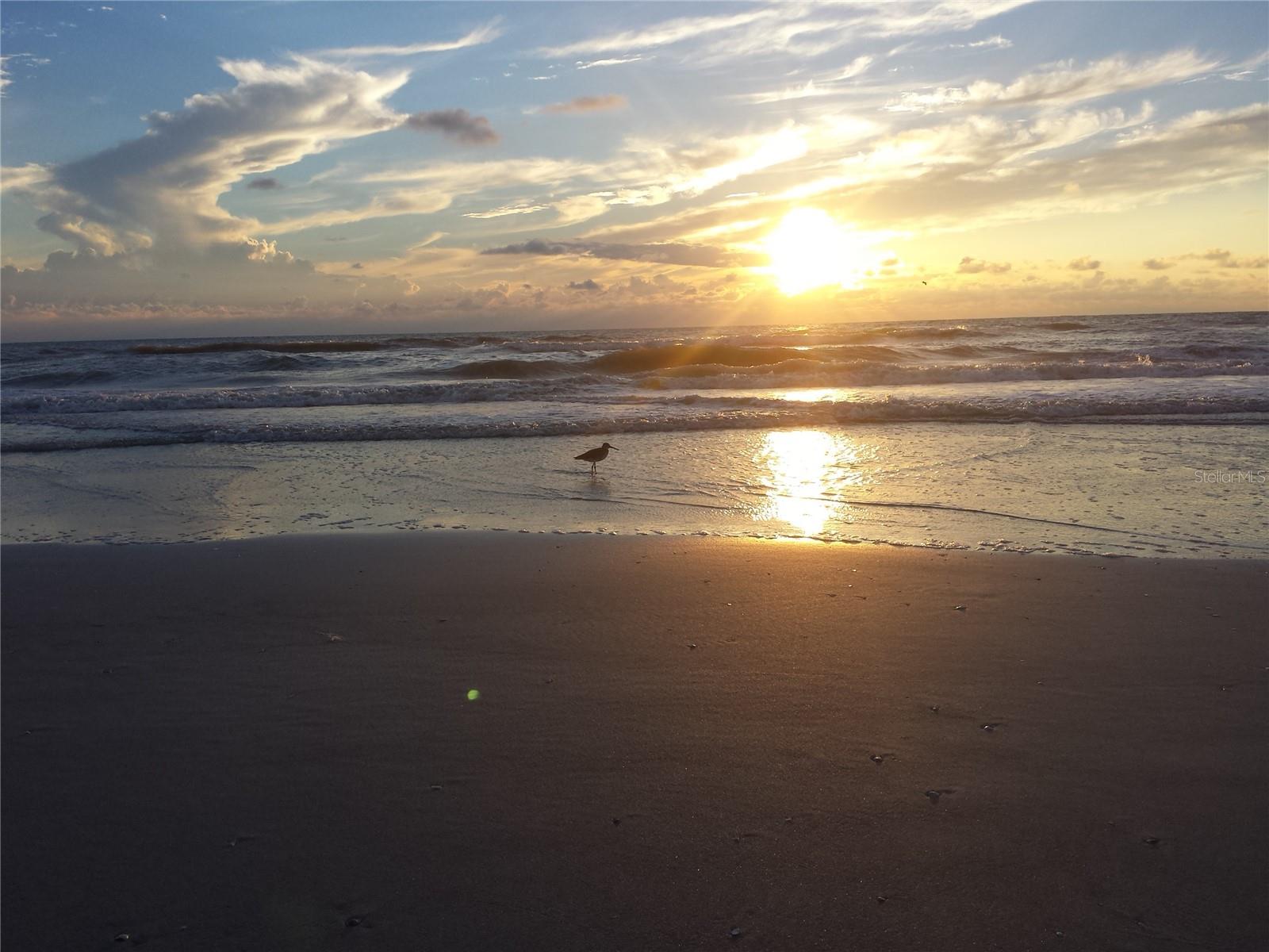 Image 35 of 35 For 9950 62nd Terrace N 106