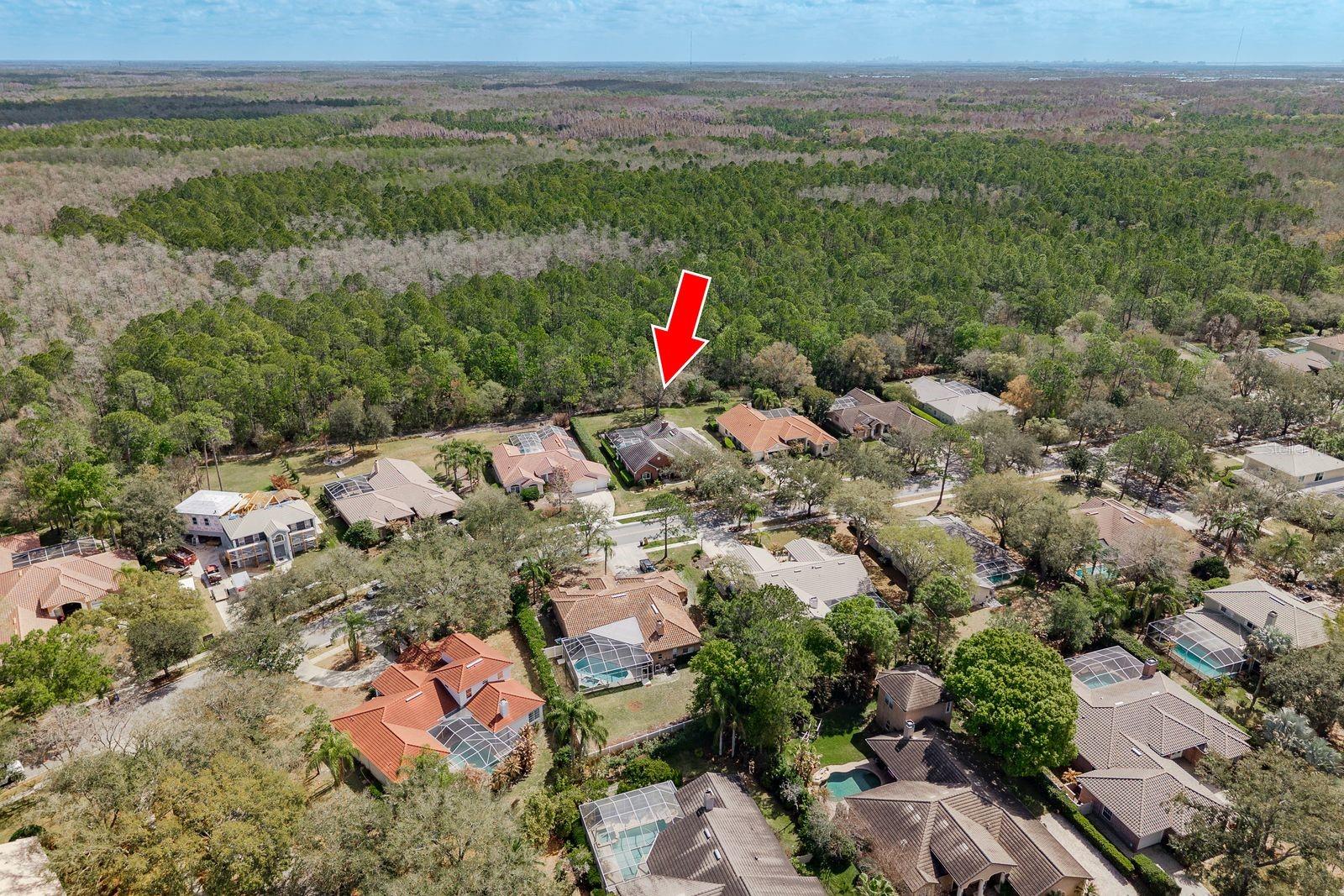 Listing photo id 50 for 1499 Lake Woodlands Parkway