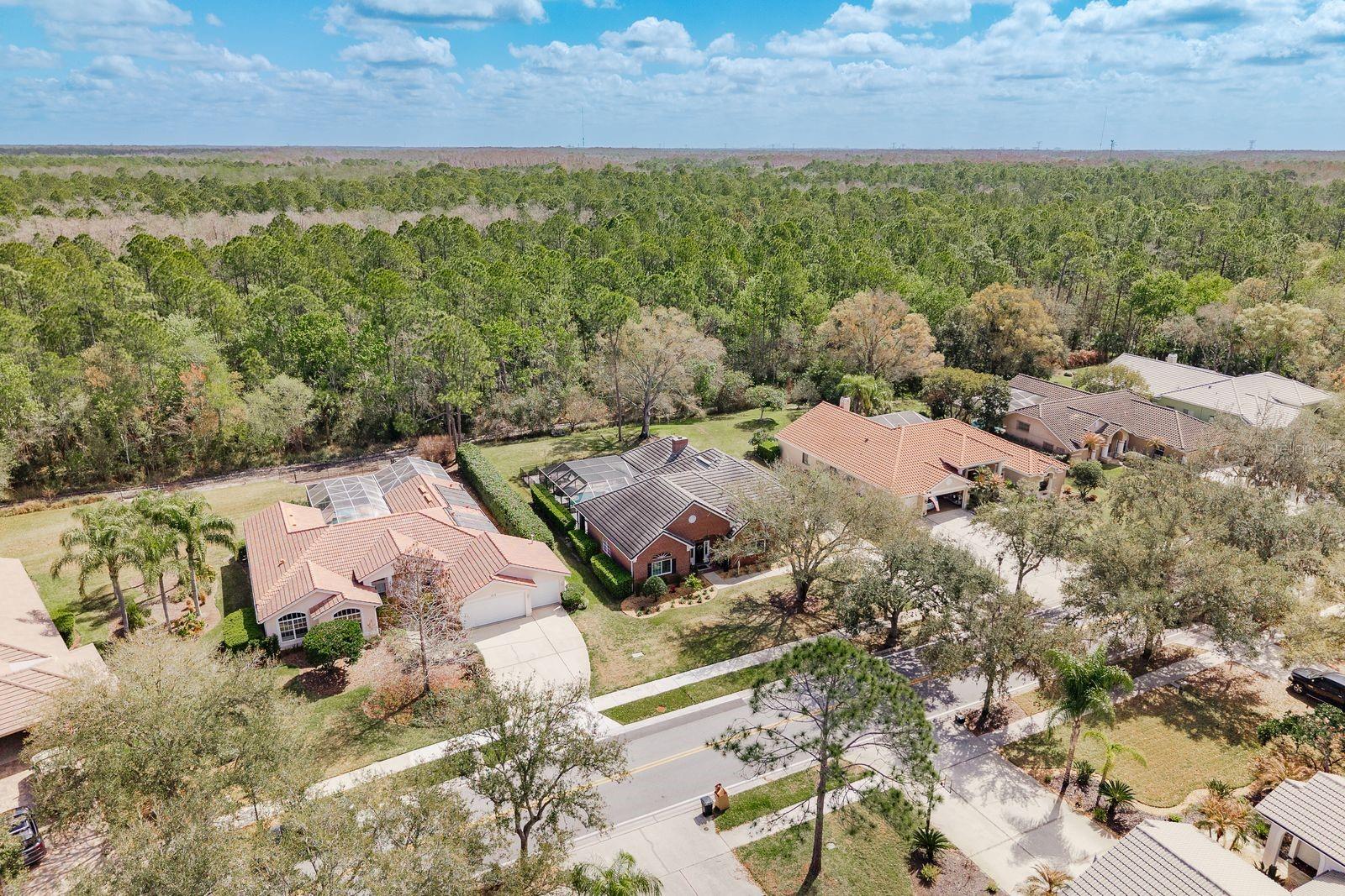 Listing photo id 51 for 1499 Lake Woodlands Parkway