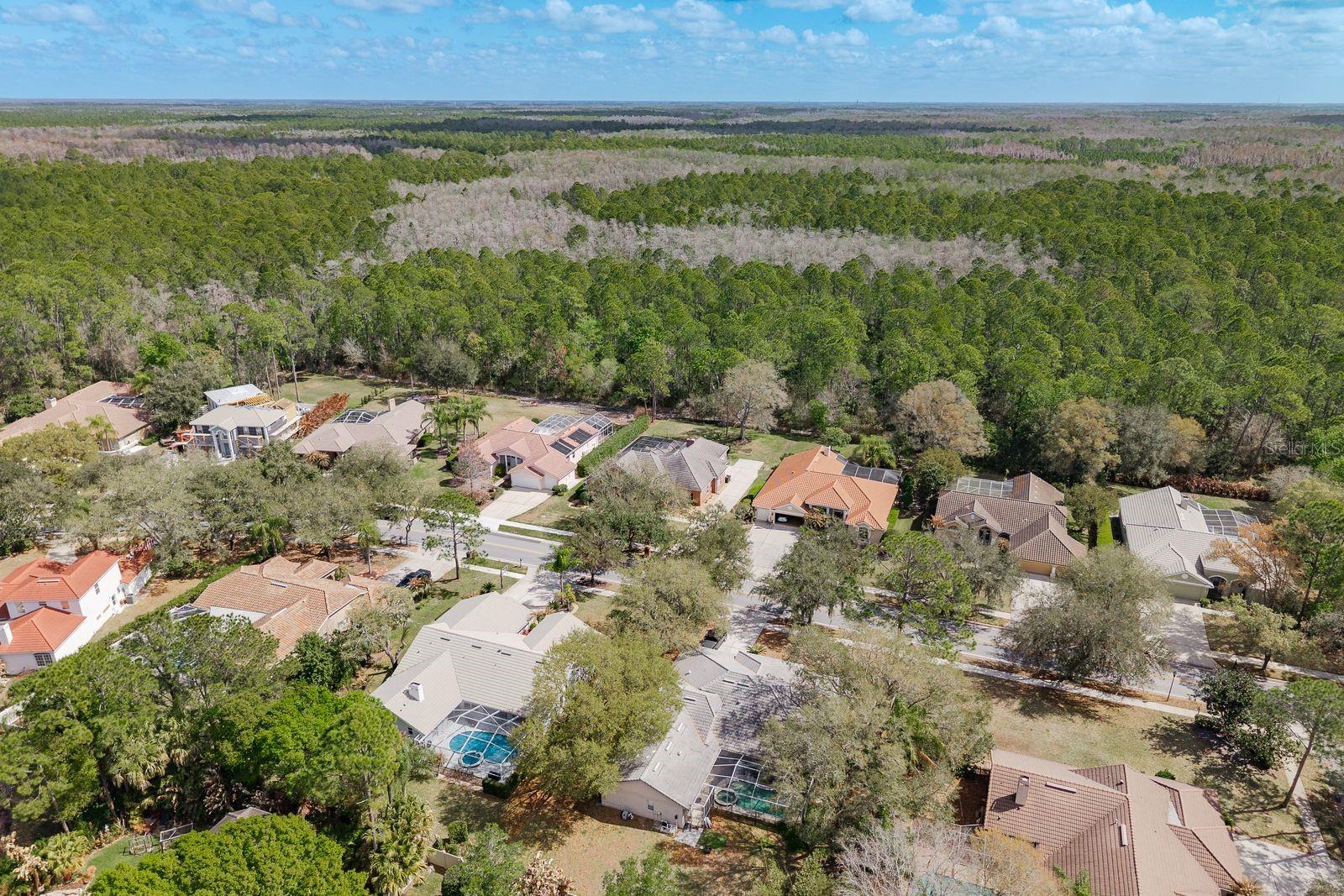 Listing photo id 53 for 1499 Lake Woodlands Parkway