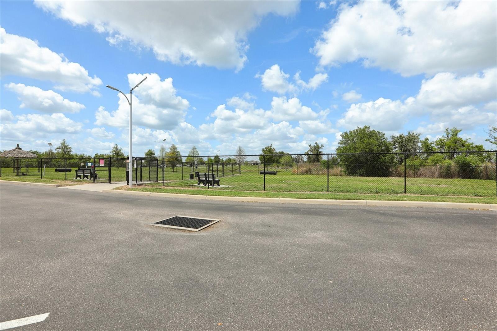 Image 29 of 33 For 32010 Blue Passing Loop